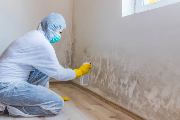 Licensed Crawl Space Mold Removal service in Clarksville, VA - WQB Mold Removal
