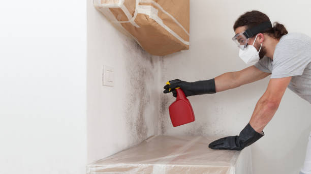 Professional Crawl Space Mold Removal technician working in Clarksville, VA