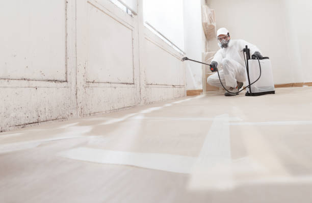 24/7 Emergency Crawl Space Mold Removal experts in Clarksville, VA