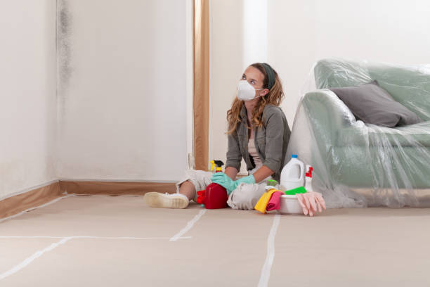 Trusted Crawl Space Mold Removal service in Clarksville, VA - WQB Mold Removal