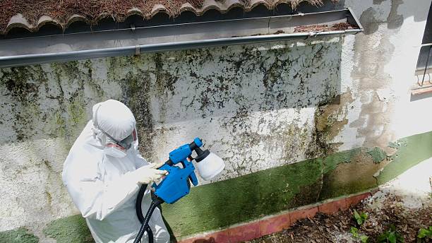 Top rated local Crawl Space Mold Removal specialists in Clarksville, VA